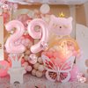 Cat Birthday Decorations, Cat Balloons, Pink 29 Balloon Numbers 40 inch, Cat Themed Birthday Party Decorations, 29 Balloons for Girls Birthday Party Decorations