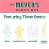 MRS. MEYER'S CLEAN DAY Foaming Hand Soap, Watermelon Scent, 10 Fl oz. (Pack of 2)