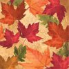 Creative Converting 3-Ply Autumn's Elegance Beverage Napkins, Orange/Red/Green