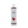 Naturativ Revitalising Body Washing Gel | Cleans, Nourishes, Strengthens & Refreshes | Cranberry Extract, Lemon Extract & Inulin | 250 ml