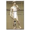 Art Plates - Michelangelo's David Switch Plate - Single Toggle