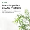 FARMSTAY Tea Tree Biome Calming Toner Pad - Gentle Exfoliating Daily Face Toner Pad, Exfoliation with PHA, 140ml / 70 Pads