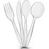 PLASTICPRO Clear Plastic Tea Spoons Disposable Cutlery Medium Weight Utensils 50 Count