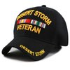 Rapid Dominance Desert Storm Veteran 3D Deluxe Embroidered Military Baseball Cap - Black