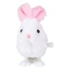 The Dreidel Company Easter Bunny & Chick Wind Up Toys for Kids Variety Pack, Birthday Party Favors, Novelty and Gag Gifts, 3" Inches (4-Pack)