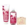 Bath & Body Works Cherry Blossom Body Wash and Body Cream Bundle with a Himalayan Salts Springs Bar Soap - Full Size