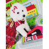 Fuzzyard Sniffy Choo Red Stiletto Squeak Dog Toy
