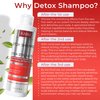 Detox Shampoo For Product Build up: Detoxify & Regrow with Our Clarifying Shampoo - Nourishes Follicles, Soothes Scalp Irritation - For All Hair Types