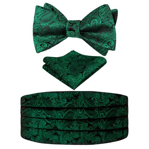 Alizeal Mens Classic Paisley Woven Self-tied Adjustable Bow Tie, Cummerbund and Pocket Square, Dark Green