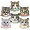 NeusWonder 60 Pcs Cat Party Plates, Cat Birthday Decorations, Disposable Paper Cat Theme Decoration for Baby Shower Party Favors Decorations Kids Birthday Party ﻿