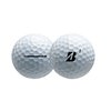 Bridgestone Golf 2023 e9 Long Drive White Golf Balls