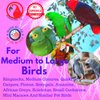 Clacker Bonka Bird Toys Colorful Durable Stainless Steel Pullable Parrot Macaw African Grey Cockatoo (Single Clacker, White)
