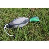 Duck Dog Training Dummy Retrieving Dog Duck Bumper Retriever Fowl Dead Mallard Training Bird Hunting Dog