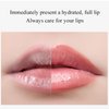 DISAAR BEAUTY 99% Aloe Vera Moisturizing Lipstick Lip Balm Lines Desalinating Nature Health Tasteless 10g