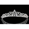 Flower Branch Rhinestone Crystal Beads Bridal Tiara Crown T930
