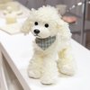 Ruzucoda Plush Poodle Dog Puppy Stuffed Animals Toys Dolls Kids Gifts 9 Inches (White)