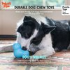 West Paw Zogoflex Tux Treat Dispensing Dog Chew Toy – Interactive Chewing Toy for Dogs – Dog Enrichment Toy – Dog Games for Aggressive Chewers, Fetch, Catch – Holds Kibble, Treats, Small 4", Tangerine
