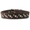 Genuine Leather Studded Dog Collar 22"x1" Brown Fits 15"-19.5" Neck