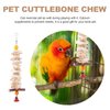 Bird Cuttlebone Cuttlefish Bones with Bell Beak Stone Parrot Beak Desalting Toy Cuddle Bone Pet Training Chew Molar Toy Hanging 25CM