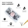 MDC LASHES Promades Eyelash Fan 500fans | 5D-16D, 0.05-0.07 Thickness, C/CC/D Curls, 8-18mm | Volume Lash Extensions Premade Lash Fans Pro Made False Eyelashes Pestanas Pelo A Pelo (10D-0.05-CC-10)