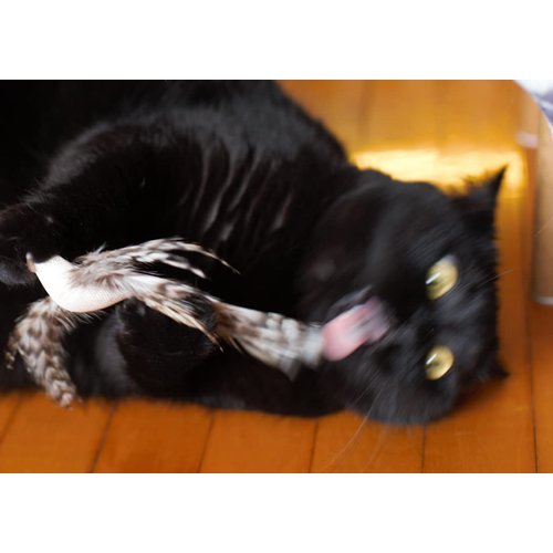 Minibees Cat Toy Feather Teaser, Changeable Toys(3pcs), Exerciser Wand Stick for Pet Cat and Kitten with Bell, Interact, Training,Changeable