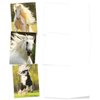 The Best Card Company - 10 Mixed Set Horse Note Cards Blank (4 x 5.12 Inch) - Wildlife, Animal Assorted Boxed Bulk Pack - Horses | Magnificent Manes M4601OCB-B1x10
