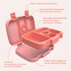 Bentgo Kids Bento-Style 5-Compartment Leak-Proof Lunch Box - Ideal Portion Sizes for Ages 3 to 7 - Durable, Drop-Proof, Dishwasher Safe, BPA-Free, & Made with Food-Safe Materials (Coral)