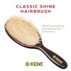 Kent CSGM 7.75" Classic Shine Medium Oval Cushion Straightening Brush and Hair Detangler - Soft White Boar Bristle Hair Brush - Shine Hair Brush and Scalp Scrubber for Mid-Length Fine or Thinning Hair