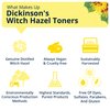 Dickinson's Witch Hazel Hydrating Toner + Serum with Rose Water