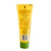 Aloe Vera Gelly Lily Of The Desert 4 oz Gel