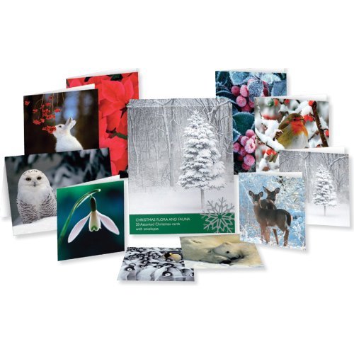 20 ECO FRIENDLY BOXED CHRISTMAS CARDS