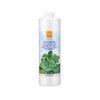 Ever Ego Italy | Deep Cleansing Refreshing Shampoo 1000 ml