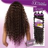 Sensationnel Lulutress Crochet Braiding hair - 3X French Wave synthetic with pre-styled - LULUTRESS 3x French Wave 24 inch (T1B/30)