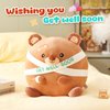 Houwsbaby 12" Brown Get Well Soon Teddy Bear Plush Pillow,Get Well Soon Bear Stuffed Animal, Broken Arm Bandage Bear Plush for Kids Boys Girls Adult After Surgery Presents