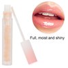 HURRISE Lip Lines Fading Oil, Hyaluronic Lip Gloss Oil Lip Care Oil Shiny Nourishing Lip Gloss for Makeup