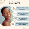 Way Natural Real Goat Milk Lotion, Travel Size, Bulk - Soothing, Creamy, Dry Skin Relief - Coconut & Grapeseed Oils - Goat Milk Hand Cream/Body Lotion - Unscented, 3 (2oz) Tubes