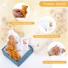 Zhanmai Set of 12 Mini Plush Bears Little Pocket Bears Sympathy Gift for Kids Inspirational Bear Hug Gift Card Party Favors White Organza Bags(Cute Style, 8-9 cm)
