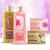 Caress Beauty Bar Soap For Silky, Soft Skin Daily Silk With Silk Extract and Floral Oil Essence 3.75 oz 4 Bars