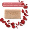 DR.JACOBS NATURALS Dr Jacobs Naturals, Triple Milled Loofah Exfoliating Castile Bar Soap 5 oz. - Lucy Rose