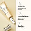 CNP Propolis Eye Cream (1.7 fl.oz / 50ml) - Nourishing Eye Cream with Propolis Extract, Ceramide, Lightweight Cream Texture, Firming Wrinkles, Gifts for Women, Korean Skin Care