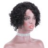ZHENLISI Short Pixie Cut Afro Kinky Curly Brazilian Virgin Human Hair Wigs Short Jerry Curly No Lace Glueless Human Hair Wigs for Black Women