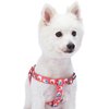 Blueberry Pet 9 Patterns Step-in Spring Scent Inspired Rose and Polka Dot Print Brink Pink Dog Harness, Chest Girth 16.5" - 21.5", Small, Adjustable Harnesses for Dogs