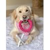 Midlee XO Valentine's Rope Dog Toy