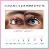 600 Fans 10D Premade Volume Eyelash Extensions 8-15mm Mixed Length Pre-made Fans Thin Volum Lash Extensions C Curly Handmade Loose Volume Lashes (10D-0.07-C-8-15mm）
