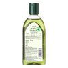 Patanjali Amla Hair Oil 100ml / 3.38 fl oz