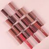 Agrifilm Matte Velvet Lipstick Lip Crayon Nourishing Non-Stick Cup Lip Stain Lip Gloss,Long-lasting Waterproof Lip Stick Lip Makeup for Women (12)