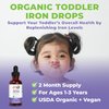 MaryRuth Organics Iron Supplement for Toddlers | Liquid Iron Supplement for Children Ages 1-3 | Iron Supplement for Iron Deficiency | Sugar Free | Vegan | Non-GMO | Gluten Free | 2 Fl Oz