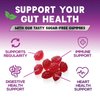 Sugar Free Fiber Gummies for Adults, Daily Prebiotic Fiber Supplement & Digestive Health Support - Supports Regularity & Digestive Health, Nature's Plant Based, Non-GMO, Berry Flavor - 60 Gummies
