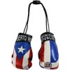 Puerto Rico and Dominican Republic Mini Boxing Gloves