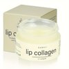 SUDAJI Lip Collagen + Peptide Complex 0.7oz, Collagen Lip Balm with Vitamins E, A -Lip Butter to Nourish & Hydrate Dry Lips, Moisturizing Lip Mask Overnight, Gentle exfoliating Collagen for Lips